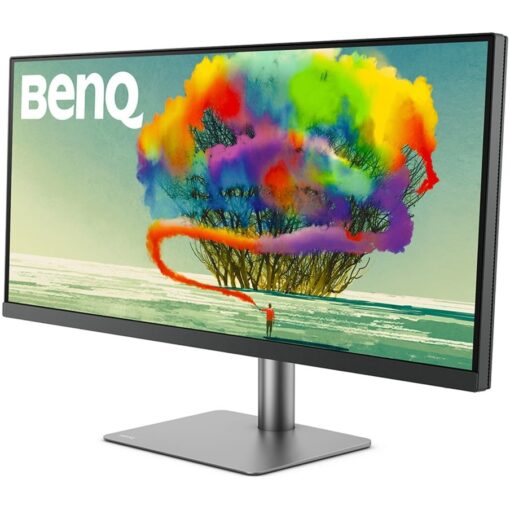 Benq PD3420Q