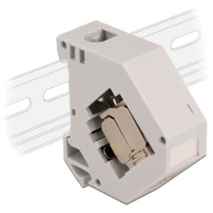 Delock Hutschienenadapter mit Keystone-Modul RJ-45 > Cat.6a LSA