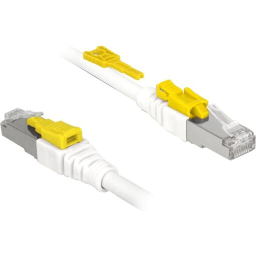 Delock Kabel RJ45 Secure Cat.6A