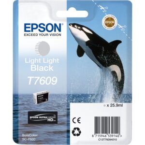 Epson Tinte Light Light Black C13T76094010