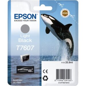 Epson Tinte Light Schwarz C13T76074010