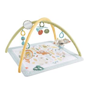 Fisher-Price Simply Senses Newborn Gym (Sensimals ''24)