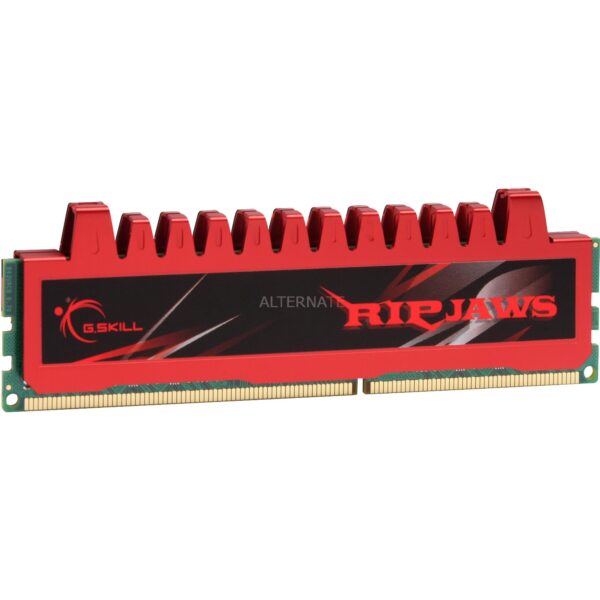 G.Skill DIMM 4 GB DDR3-1066