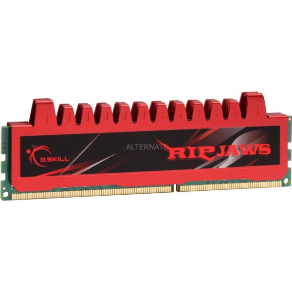 G.Skill DIMM 4 GB DDR3-1333