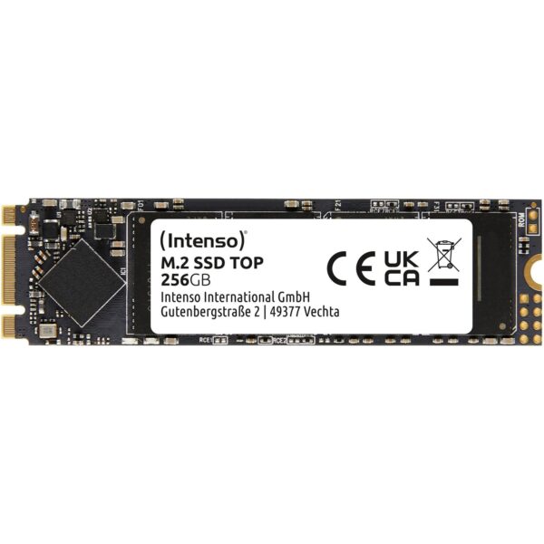 Intenso TOP 256 GB