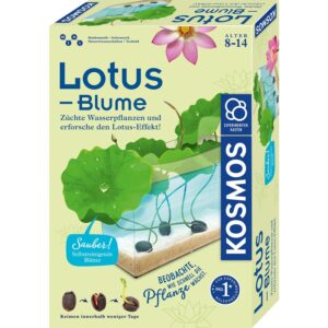 Kosmos Lotus-Blume