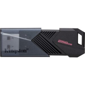 Kingston DataTraveler Exodia Onyx 256 GB