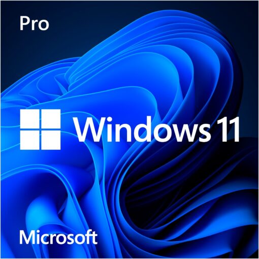 Microsoft Windows 11 Pro