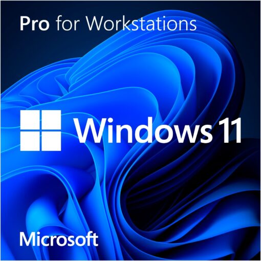 Microsoft Windows 11 Pro for Workstations