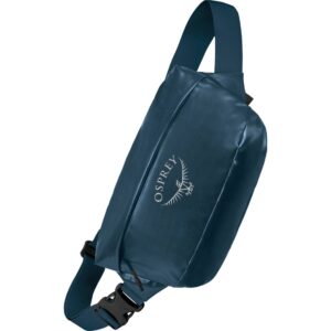 Osprey Transporter Waist