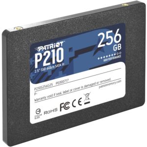 Patriot P210 256 GB