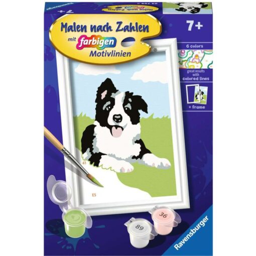 Ravensburger Malen nach Zahlen - Border Collie Welpe