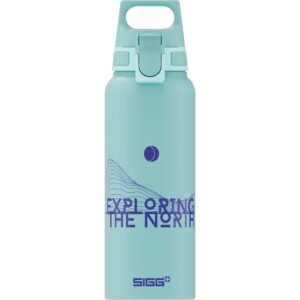 Sigg Trinkflasche WMB ONE Pathfinder Glacier 1