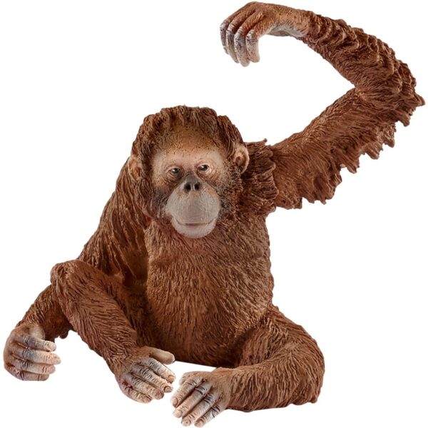 Schleich Wild Life Orang-Utan Weibchen