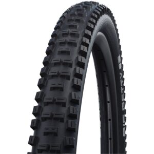 Schwalbe Big Betty Performance