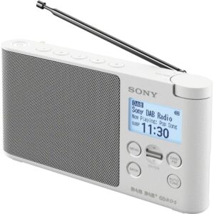 Sony XDR-S41DW