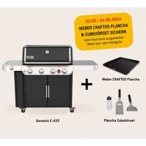 Weber Gasgrill Genesis E-435