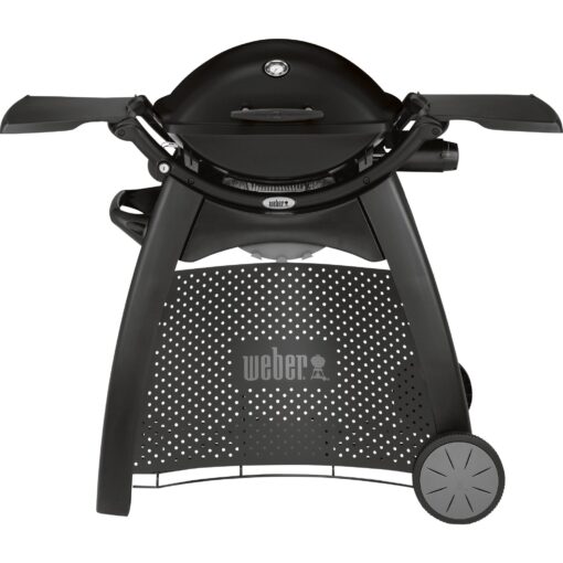 Weber Gasgrill Q 2200 mit Rollwagen