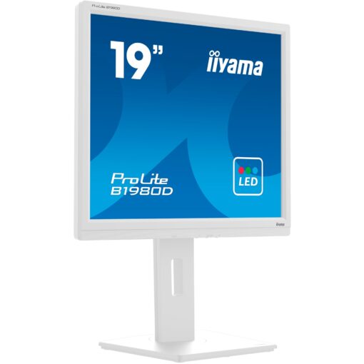 Iiyama B1980D-W5